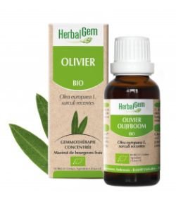 Olivier (Olea europea) j.p. BIO, 15 ml